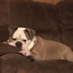 Meet your Posher, Savannah